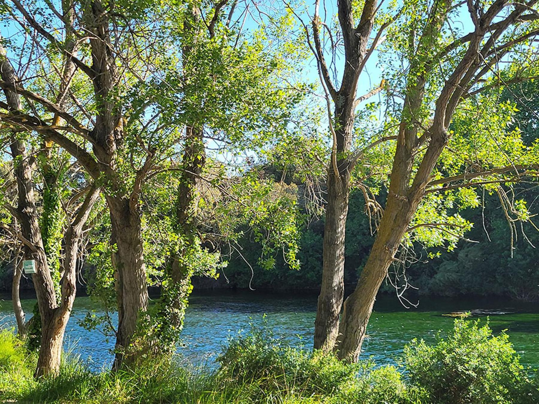 Camping Le Val De Cesse Mirepeisset Eksteriør billede